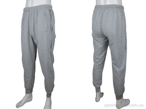 Спортивні штаны чоловічі 2146 l.grey Red Hat сірий  оптом от Optomarket