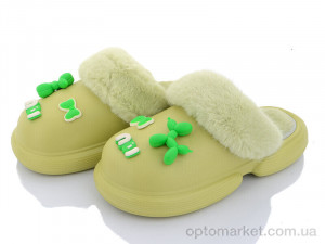 Купить Капці жіночі 2336-6 green Lion зелений