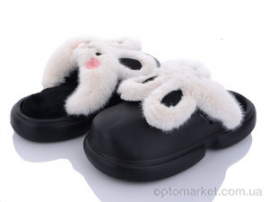 Купить Капці жіночі 2336 black Lion чорний