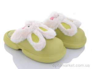 Купить Капці жіночі 2336 green Lion зелений