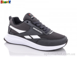 Купить Кроссовки мужчины 234114-1 Wanderful серый