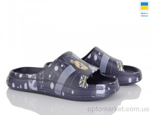 Купить Шльопанці дитячі 239-1 синій Golden Lion синій
