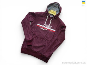 Батник чоловічі 23T.mmy бордо Sport style бордовий  оптом от Optomarket