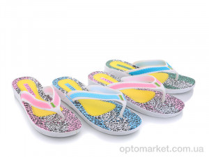 Купить Шльопанці жіночі 328 mix Sydney мікс