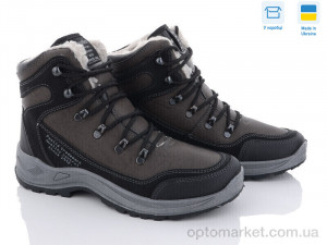 Купить Черевики чоловічі 361-6513 коричневий Paolla коричневий