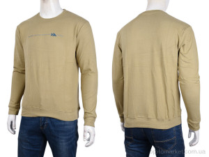 Кофта чоловічі 3918-02-3 beige Ale Edition бежевий  оптом от Optomarket