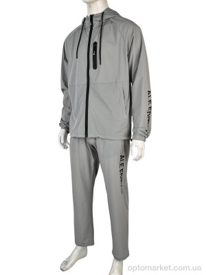 Купить Спортивний костюм чоловічі 4101-A53-2 grey Ale Edition сірий