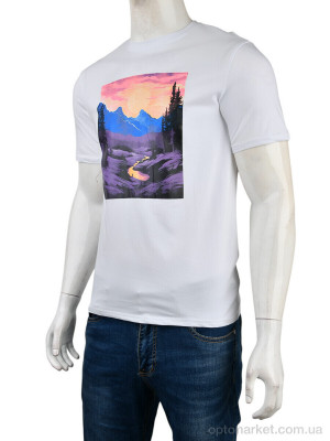 Купить Футболка чоловічі 4117-NT48-18-2 white Nana білий