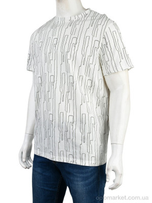 Купить Футболка чоловічі 4117-NT571-2 white Nana білий