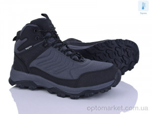 Купить Кросівки чоловічі 4250-A2539-2 Baas сірий