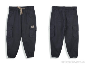 Брюки дитячі 4296-BR8801-2 grey Baronjns сірий  оптом от Optomarket