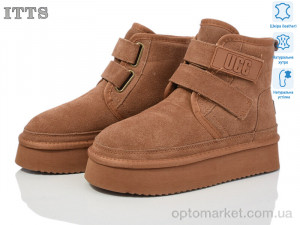 Купить Уги жіночі 5510-20 ITTS camel