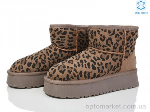 Купить Уги жіночі 5825-46 Gifanni коричневий