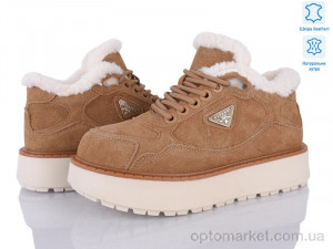 Купить Черевики жіночі 5826-428 Gifanni camel