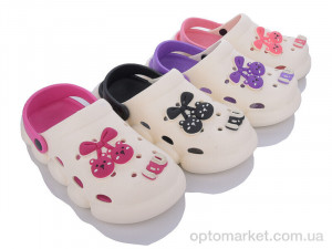 Купить Крокси жіночі 6630-9 mix Lion мікс