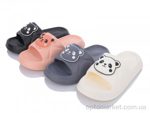 Купить Шльопанці жіночі 6632-5 mix Lion мікс