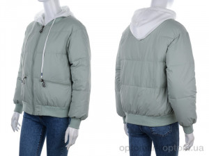 Куртка женские 678 green Aixiaohua зеленый  оптом от Optomarket