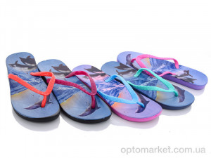 Купить Шльопанці жіночі 8026-5 mix Sydney мікс