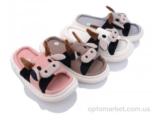 Купить Капці жіночі 8175-7 mix Deshman мікс