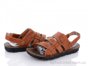 Купить Сандалі чоловічі 8856-3 CAD коричневий