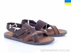 Купить Сандалии мужчины Paolla 09 коричневый Paolla коричневый