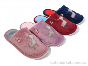 Купить Капці жіночі A23 mix Alex мікс