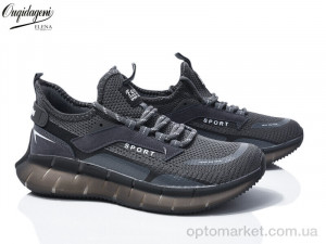 Купить Кросівки чоловічі A231-6 Dageni сірий