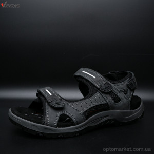 Сандалі чоловічі A503-3 Vegas сірий  оптом от Optomarket
