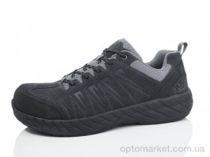 Купить Кросівки чоловічі A666 SANLIN сірий