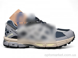 Купить Кросівки чоловічі A890-12 A.ics сірий