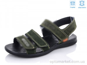 Купить Сандалі чоловічі C1901 E.co зелений
