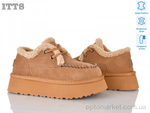 Купить Туфлі жіночі F255-20 ITTS camel