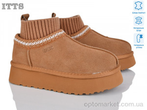 Купить Уги жіночі F282-20 ITTS коричневий