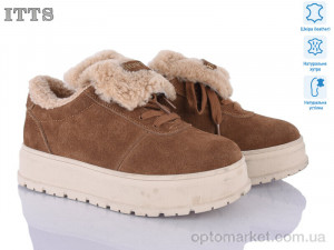 Купить Туфлі жіночі H2029-4 ITTS коричневий
