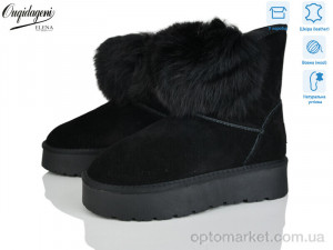 Купить Уги жіночі HA1801-1 Dageni чорний