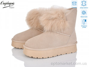 Купить Уги жіночі HA1801-3 Dageni бежевий