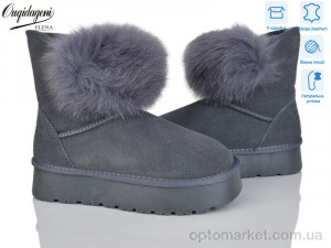 Купить Уги жіночі HA1801-6 Dageni сірий