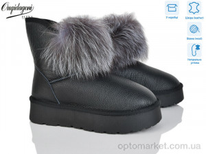 Купить Уги жіночі HAL1801-1 Dageni чорний