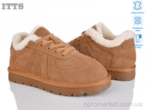 Купить Кросівки жіночі HY073-20 ITTS camel