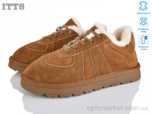 Купить Кросівки жіночі HY073-28 ITTS коричневий