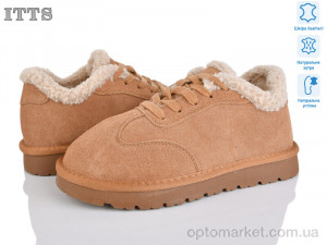 Купить Кросівки жіночі HY077-20 ITTS camel