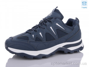 Купить Кросівки чоловічі J963-3 Hongquan синій