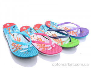 Купить Шльопанці жіночі LB8022 mix Sydney мікс