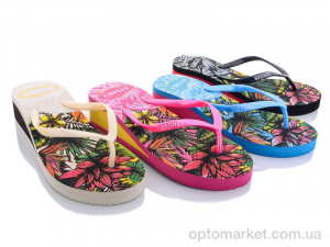 Купить Шльопанці жіночі LE5 mix Sidney мікс