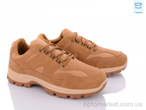 Купить Кросівки чоловічі LL112-3 BDDS бежевий