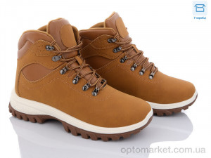 Купить Черевики чоловічі LL122 camel BDDS camel