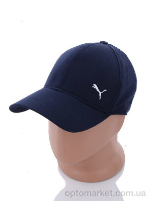 Кепка чоловічі NB06-2 navy P.ma синій  оптом от Optomarket