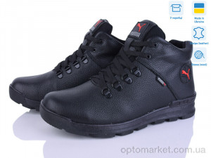 Черевики чоловічі P23 ч.ш. P.ma чорний  оптом от Optomarket