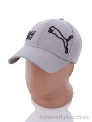 Кепка чоловічі PM019-1 grey P.ma сірий  оптом от Optomarket