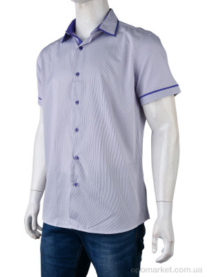 Купить Сорочка чоловічі PO-147 (12527) violet Bendu фіолетовий